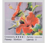 Картина за номерами + Алмазна мозаїка 2в1 YHGJ 75519 (30) "TK Group", 50х40см, в коробці